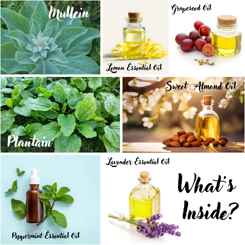 Collage of various plants, oils, and essential oils with labels on a white background.